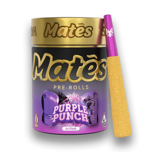 Purple Punch mates, muha mates, muha meds mates, mates pre rolls, muha mates pre rolls, muha pre rolls, infused mini joint, infused mini joints, muha meds flavors, muha meds thc percentage, muhas flavors,