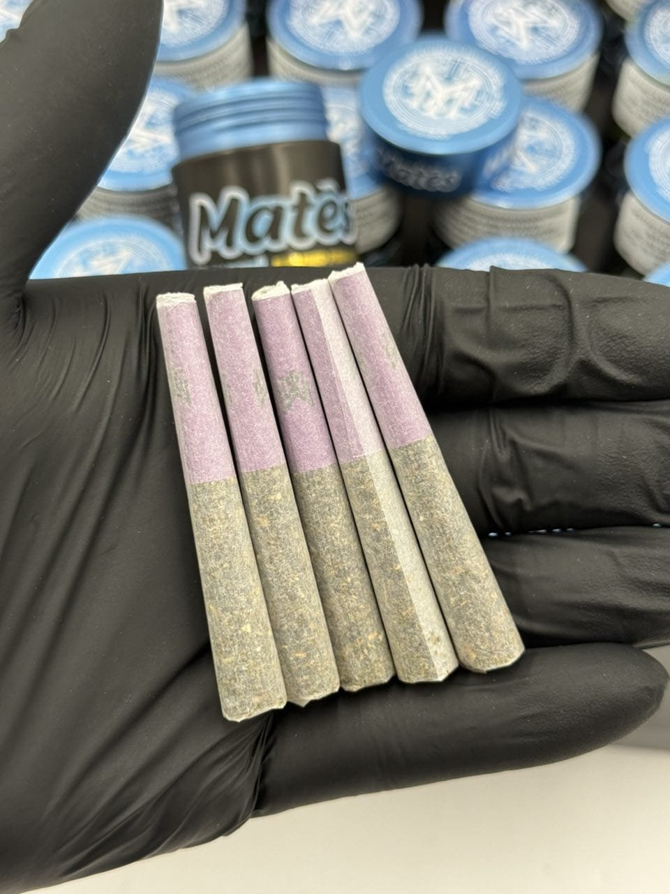 muha mates, muha meds mates, mates pre rolls, muha mates pre rolls, muha pre rolls, infused mini joint, infused mini joints, muha meds flavors, muha meds thc percentage, muhas flavors, muha mates box, muha medes mates 25 units box